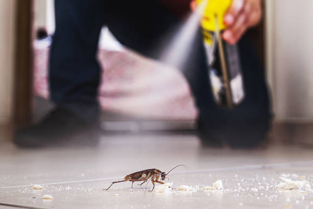 Pest Control for Restaurants in Del Rio, CA